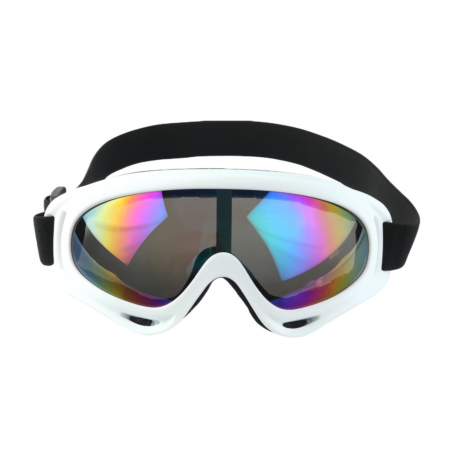 Anti-Fog Ski Goggles