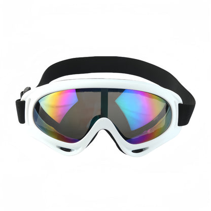 Anti-Fog Ski Goggles